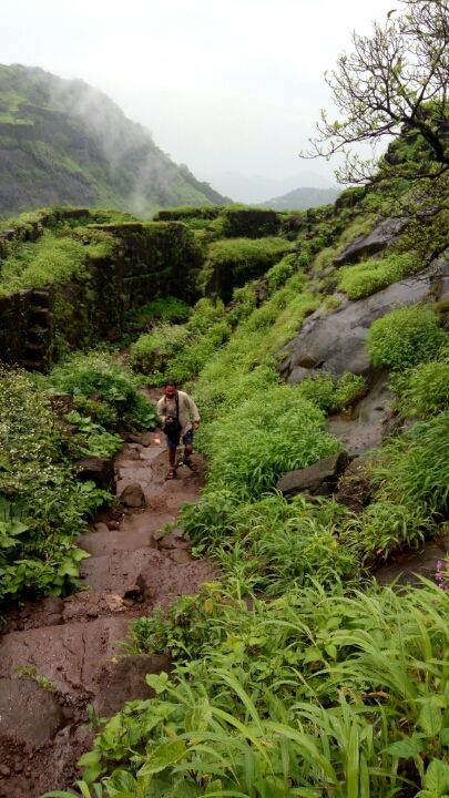 Photo of Rajmachi Trek, Udhewadi, Maharashtra 410401, India by Sandeep yadav