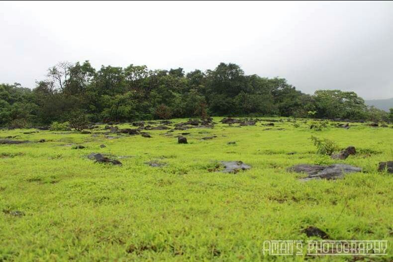 Photo of Rajmachi Trek, Udhewadi, Maharashtra 410401, India by Sandeep yadav