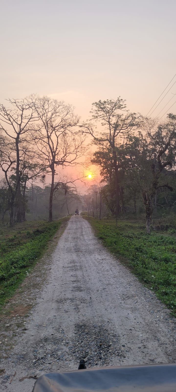 Photo of 11000 kms, 55 days, 9 states, glimpse of Bhutan - A mega road trip(8): Patna, Jaldapara, Cooch Behar 9/20 by Purabi Chowdhury