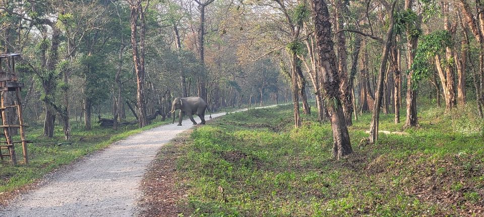 Photo of 11000 kms, 55 days, 9 states, glimpse of Bhutan - A mega road trip(8): Patna, Jaldapara, Cooch Behar 13/20 by Purabi Chowdhury