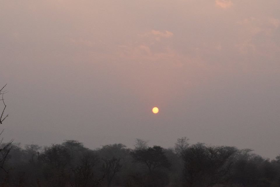 Photo of Sariska Tiger Reserve Booking Office, Sirska, Rajasthan, India by Yeh Bhi India