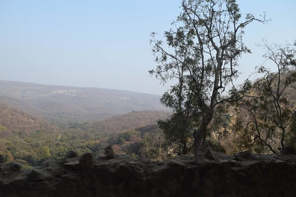 Photo of Sariska Tiger Reserve Booking Office, Sirska, Rajasthan, India by Yeh Bhi India