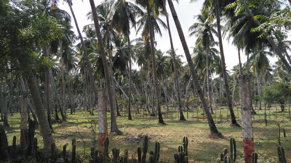Photo of Pondicherry – The perfect place to find yourself 4/18 by Abhijeet Nayak