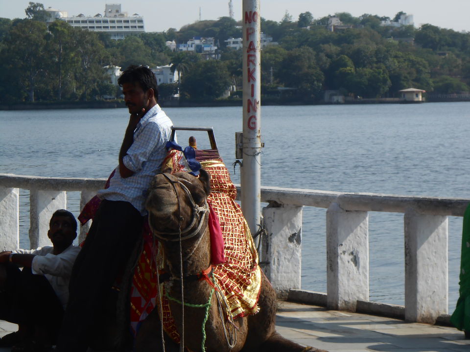 Photo of Six Hours in Udaipur: A Spontaneous Escape 18/27 by Himani Sheth