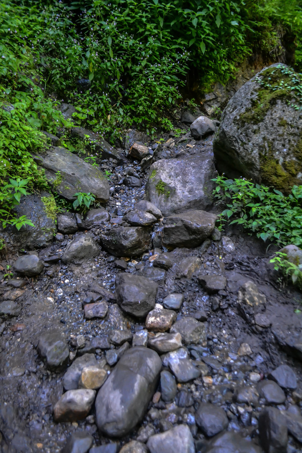 Photo of Unforgettable trip to Kasol by Kalraa Deepakk