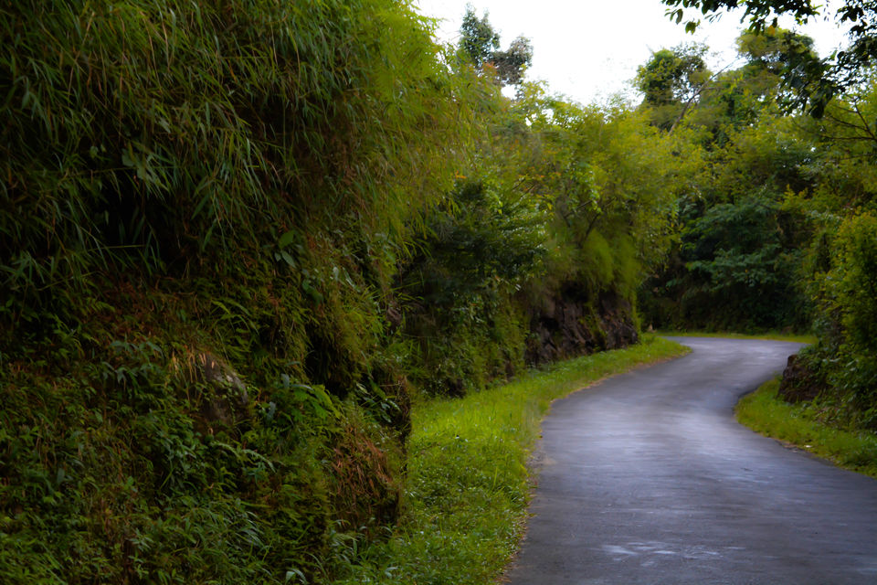 Photo of Scintillating North East !!! Assam and Meghalaya 10/23 by Kalraa Deepakk