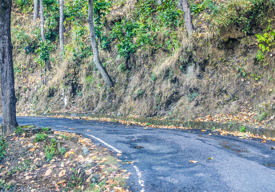 Photo of Camping in Rishikesh and drive to Lansdowne 17/18 by Kalraa Deepakk