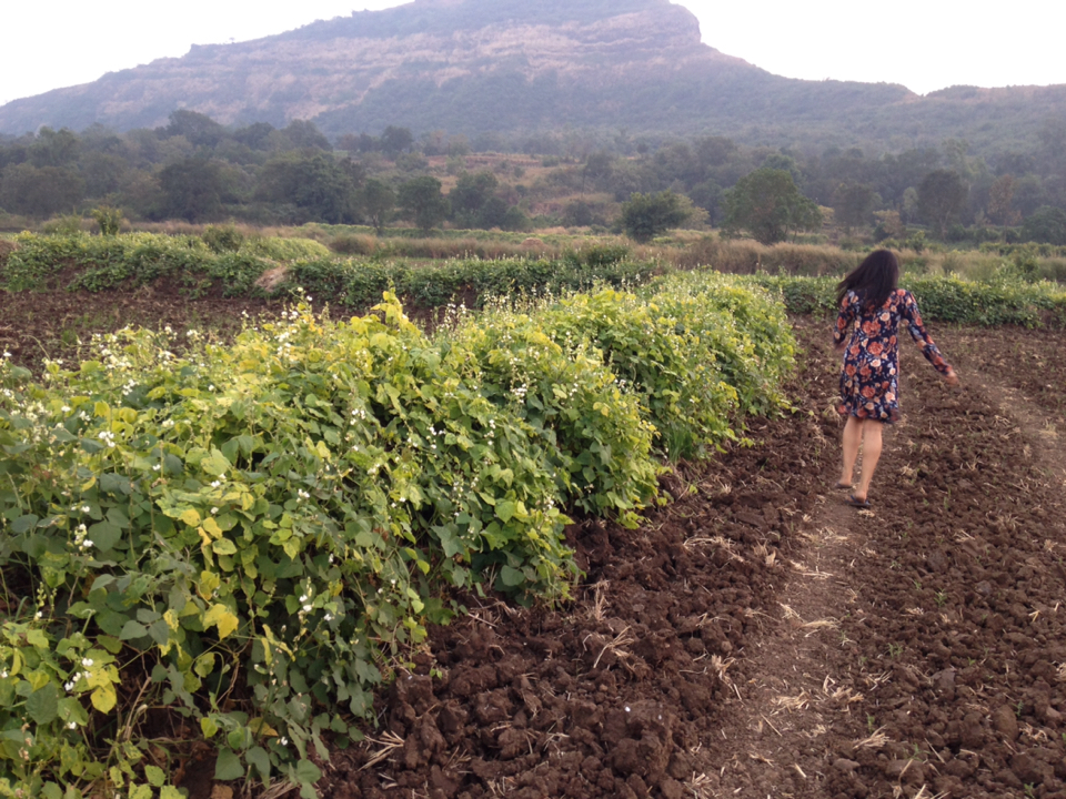 Photo of A Little Away From Mumbai Is Beauty Called Rustic Ville 6/11 by Ritu Barmecha 