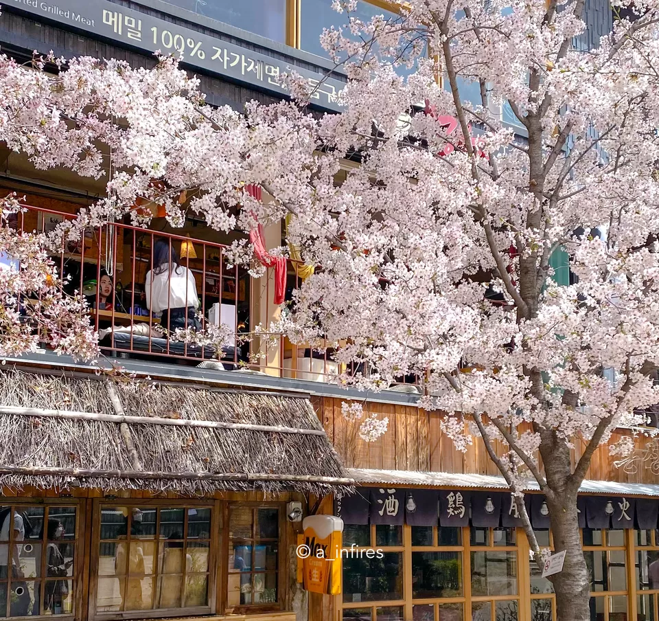 Photo of WHY YOU SHOULD VISIT SEOUL IN SPRING AND WHAT TO SEE by A Arya