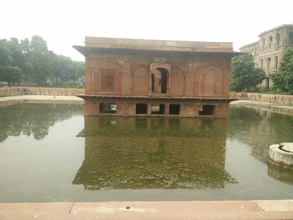 Photo of A 4 day Amazing Trip to Delhi by Niharika
