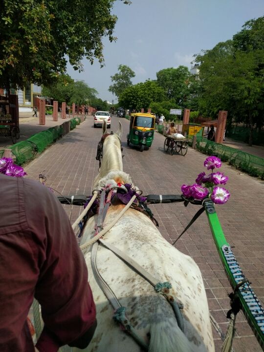 Photo of A 4 day Amazing Trip to Delhi by Niharika