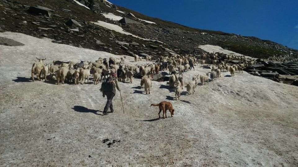Photo of A rejuvenating trip to Himachal 7/10 by Arpita Mukherjee