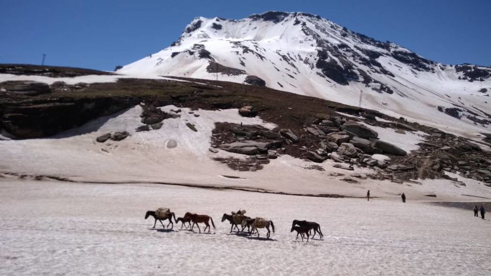 Photo of A rejuvenating trip to Himachal 8/10 by Arpita Mukherjee