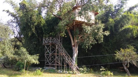Photo of A Tree House Experience at Masinagudi by Arpita Mukherjee