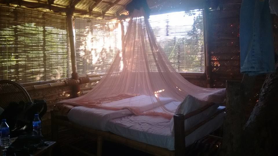 Photo of A Tree House Experience at Masinagudi 5/10 by Arpita Mukherjee