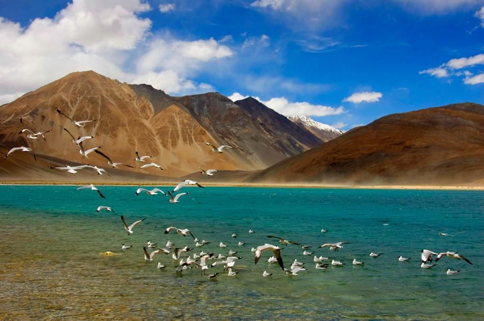 Photo of Planning a Family-Trip to Leh-Ladakh? You can cover almost all by following this 6-Days Itinerary by Arpita Mukherjee