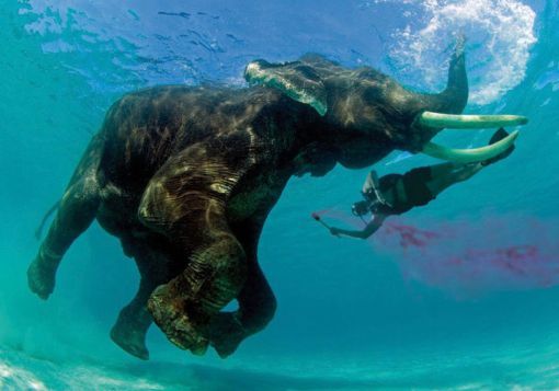 Photo of Elephant Beach, South Andaman, Andaman and Nicobar Islands, India by Arpita Mukherjee