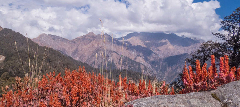 Photo of All You Need To Know About The Great Himalayan National Park Treks 4/9 by Arpita Mukherjee