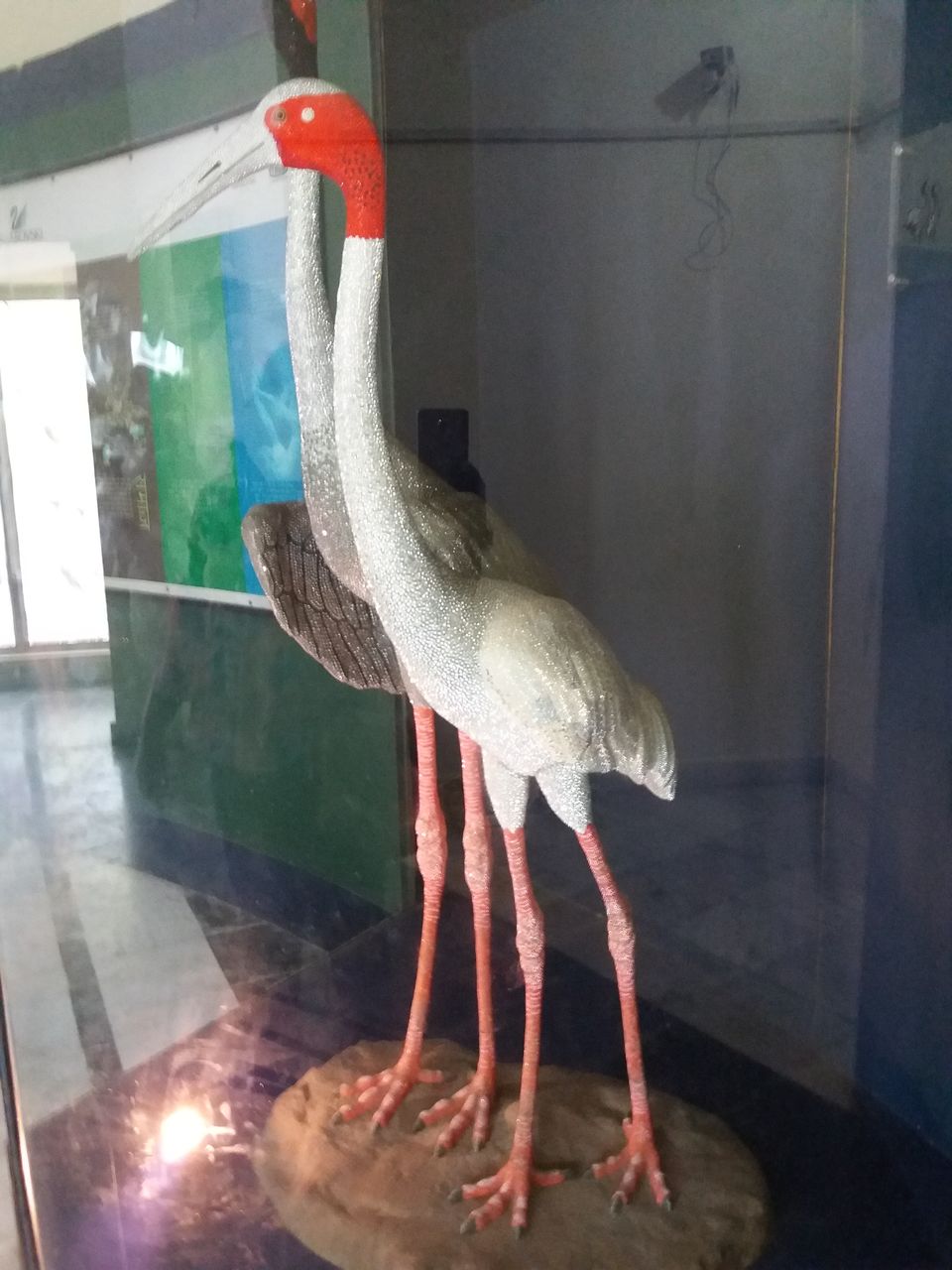 Photo of A Bird-Watching Tour to Keoladeo National Park Can Surely Turn You Into A Bird Lover 5/15 by Arpita Mukherjee
