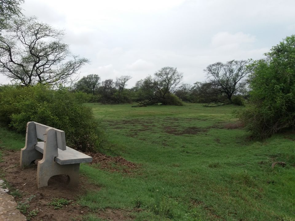 Photo of A Bird-Watching Tour to Keoladeo National Park Can Surely Turn You Into A Bird Lover 11/15 by Arpita Mukherjee