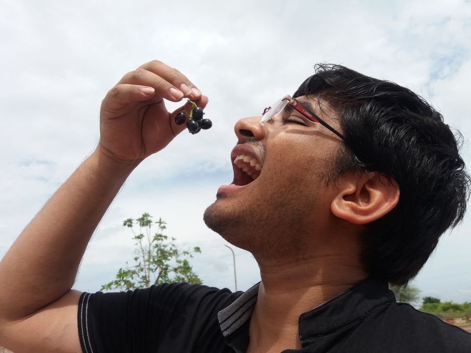 Photo of A Bird-Watching Tour to Keoladeo National Park Can Surely Turn You Into A Bird Lover 7/15 by Arpita Mukherjee