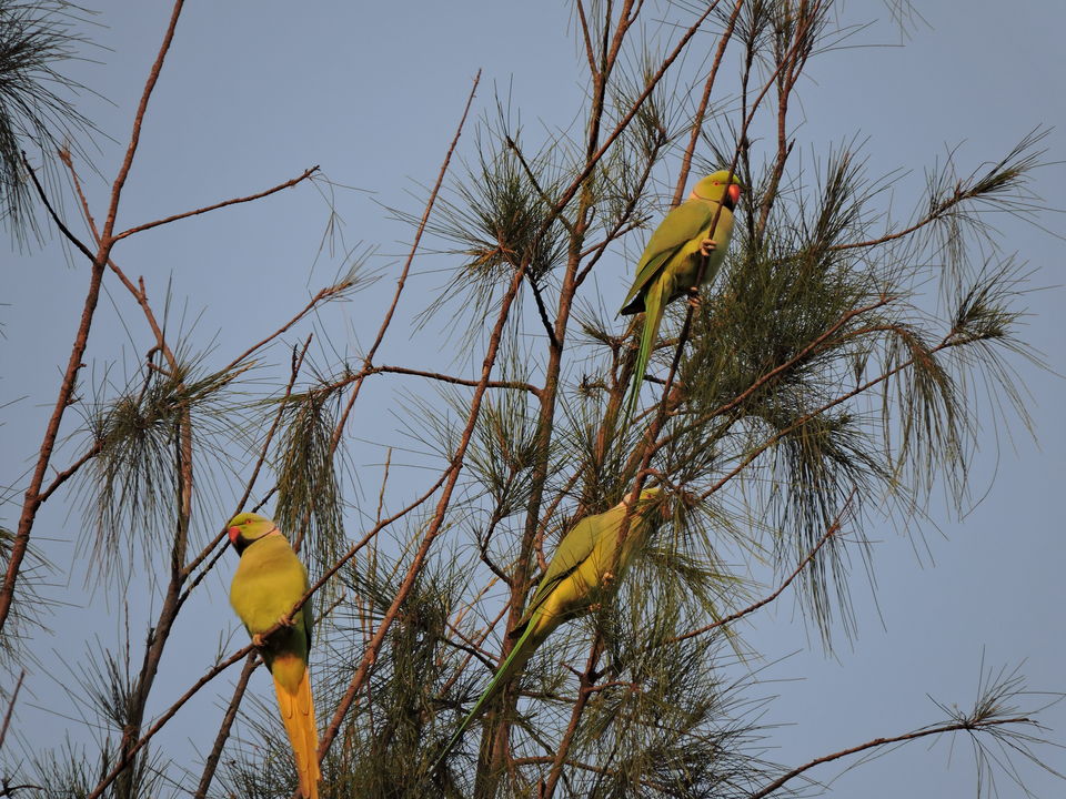 Photo of How To Wrap Up Your Chandigarh-Amritsar In Just 2 Days Without Missing The Must-See Places by Arpita Mukherjee