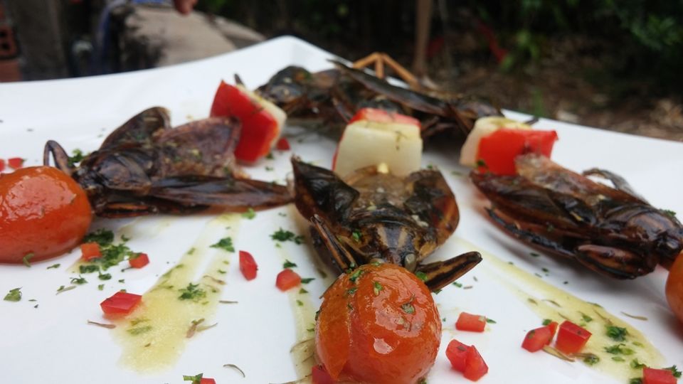 Photo of You Can Never Know How Tasty Insects Are Unless You Go To This Place! 4/8 by Arpita Mukherjee