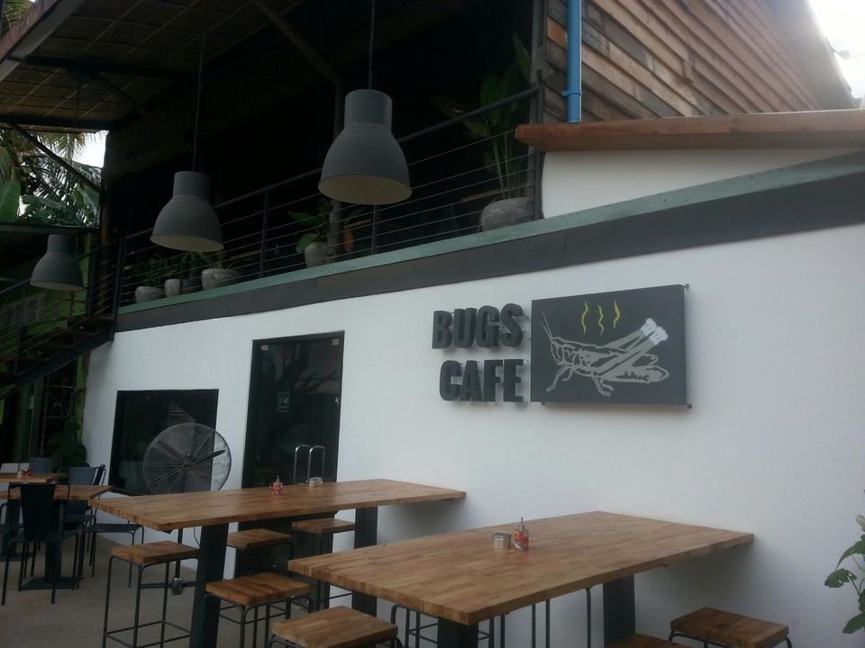 Photo of You Can Never Know How Tasty Insects Are Unless You Go To This Place! 1/8 by Arpita Mukherjee