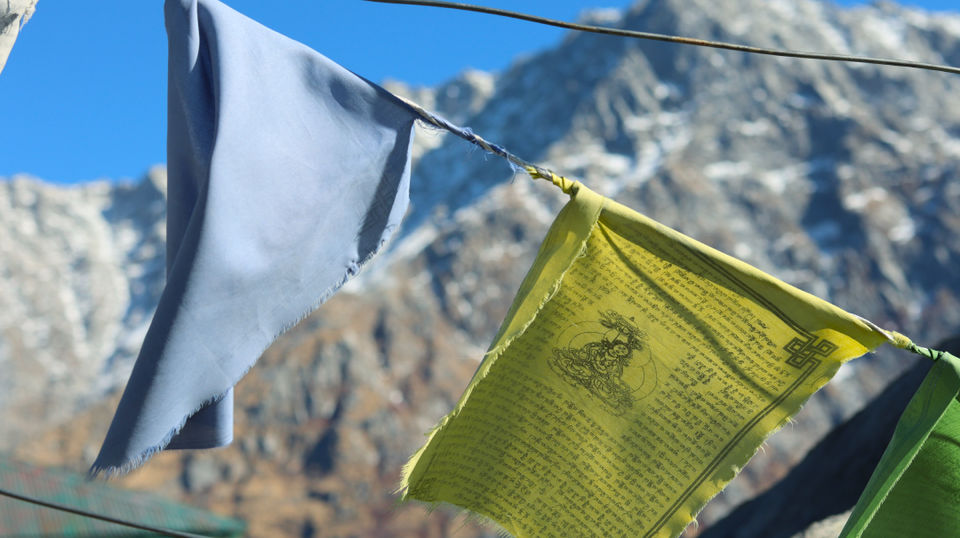 Photo of My experience of the Laka Glacier Trek 4/10 by Tamanjeet Singh