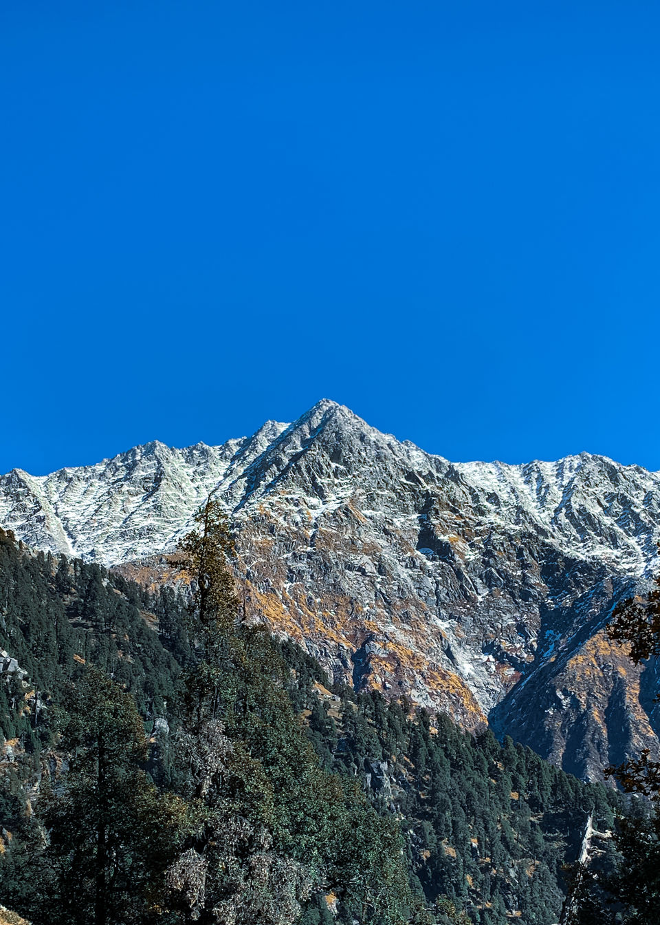 Photo of My experience of the Laka Glacier Trek 7/10 by Tamanjeet Singh
