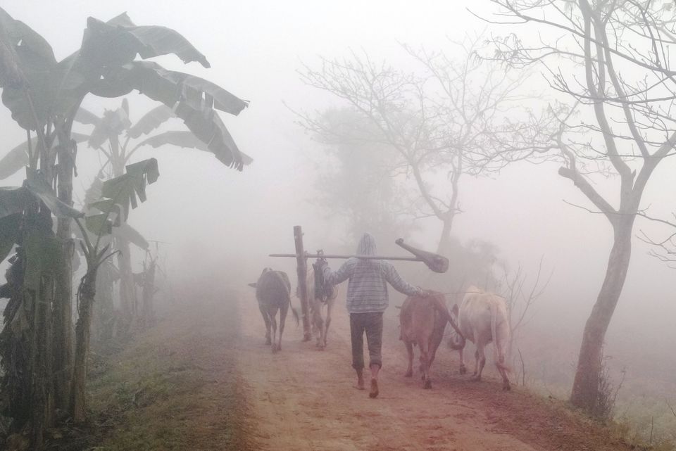 Photo of The magic of Majuli by Quiet wanderer