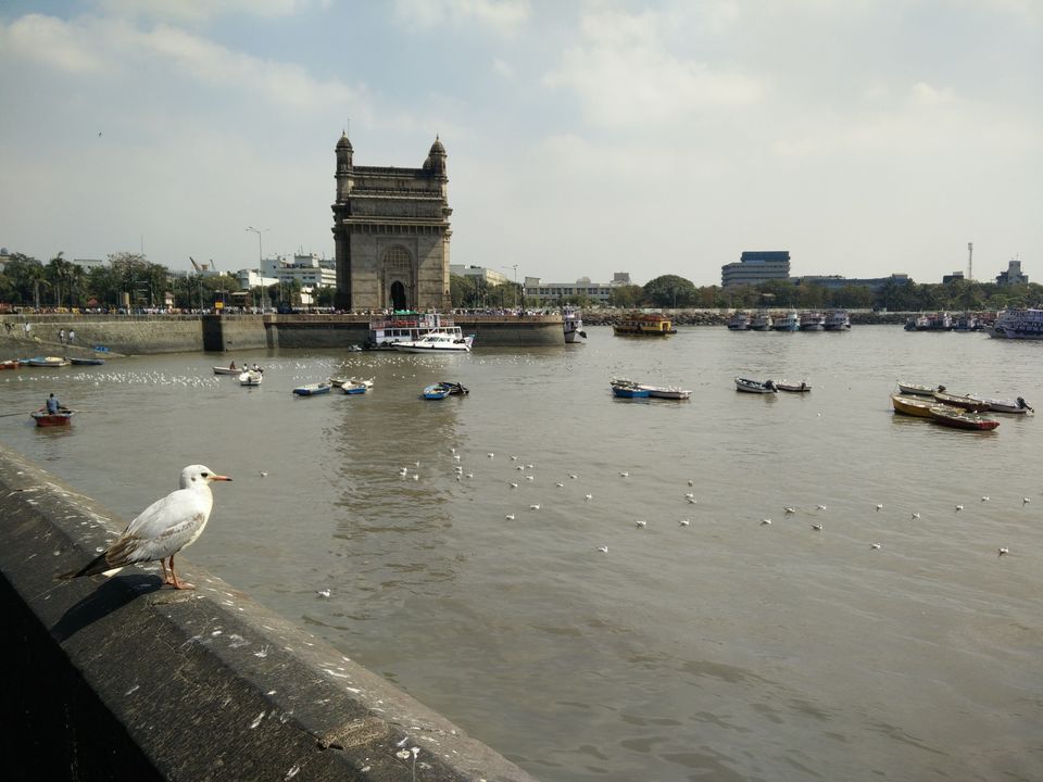 Photo of Mumbai- The Madness! 3/8 by Prachi Srivastava Sahni
