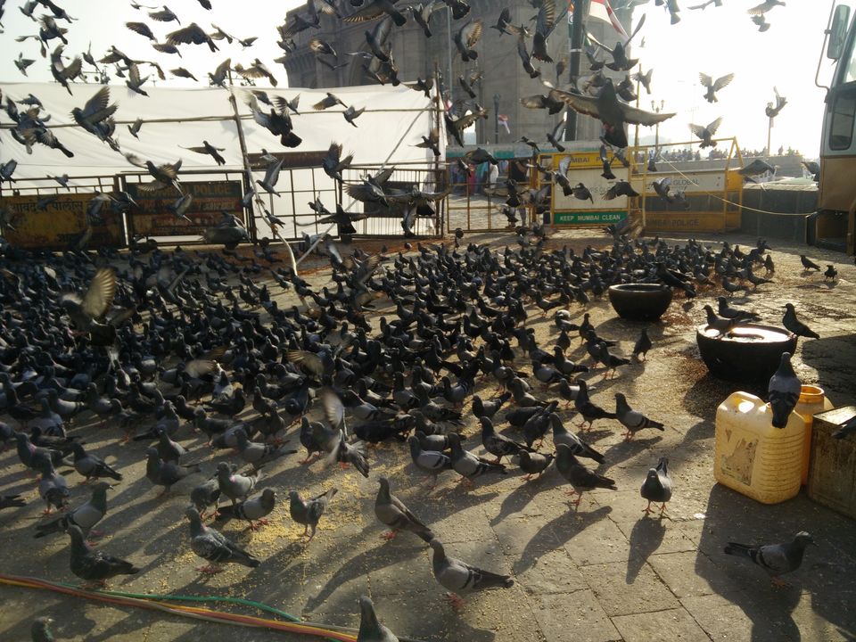 Photo of Mumbai- The Madness! 6/8 by Prachi Srivastava Sahni