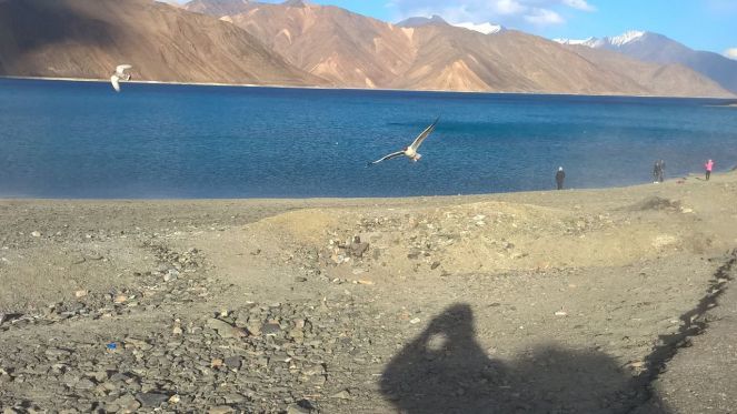 Photo of With Love from Ladakh <3 by Prachi Srivastava Sahni