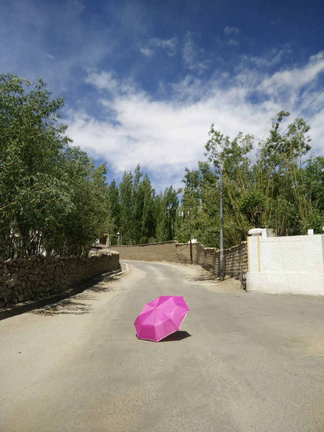 Photo of With Love from Ladakh <3 by Prachi Srivastava Sahni