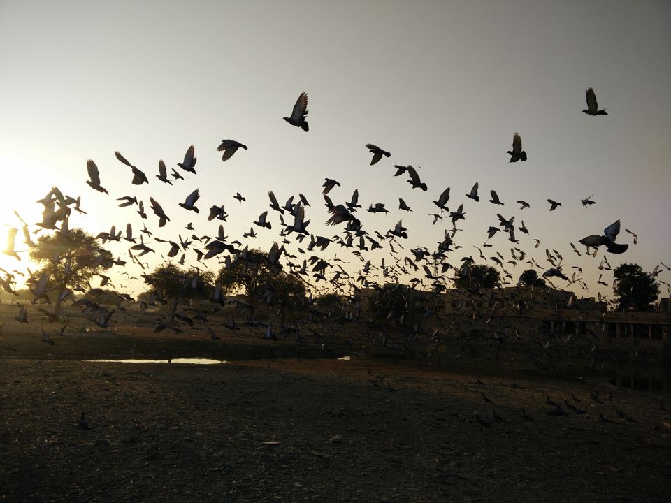 Photo of Patwa Haveli, Jaisalmer, Rajasthan, India by Prachi Srivastava Sahni