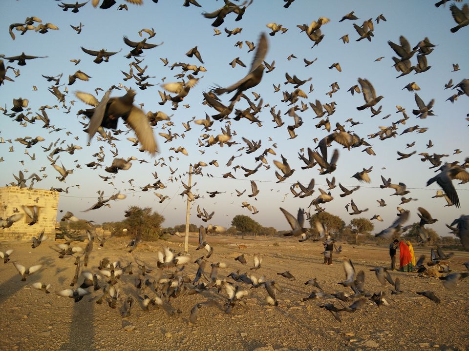 Photo of Jaisalmer - The city that sparkles! by Prachi Srivastava Sahni