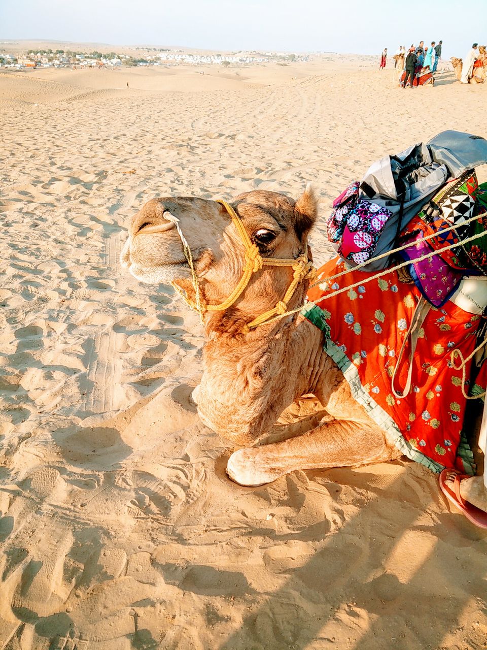 Photo of Jaisalmer - The city that sparkles! by Prachi Srivastava Sahni