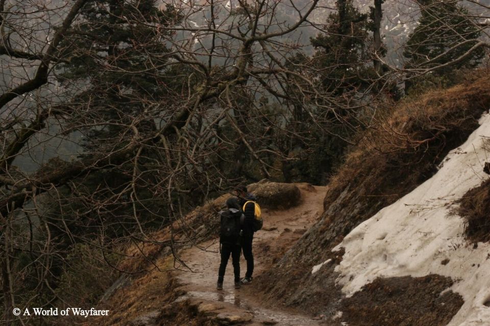 Photo of A Trek to the Himalayas, Churdhar Peak 4/20 by N Madhuri
