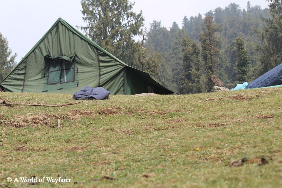Photo of A Trek to the Himalayas, Churdhar Peak 5/20 by N Madhuri
