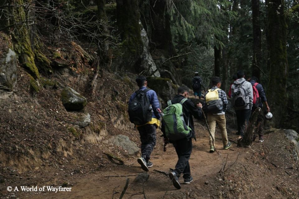 Photo of A Trek to the Himalayas, Churdhar Peak 6/20 by N Madhuri