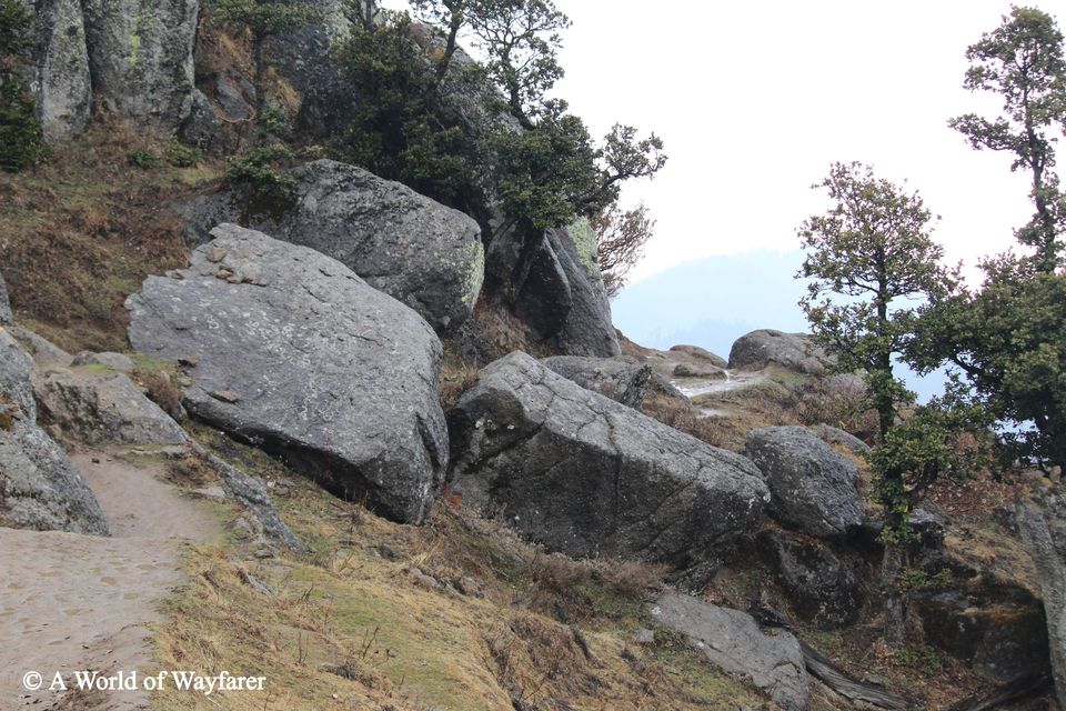 Photo of A Trek to the Himalayas, Churdhar Peak 8/20 by N Madhuri