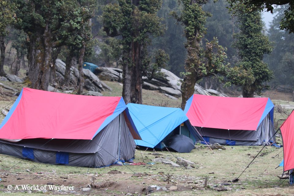 Photo of A Trek to the Himalayas, Churdhar Peak 10/20 by N Madhuri