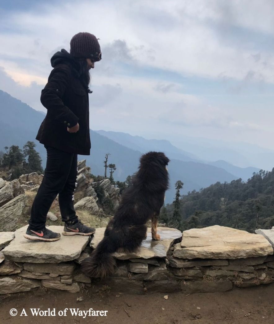Photo of A Trek to the Himalayas, Churdhar Peak 12/20 by N Madhuri