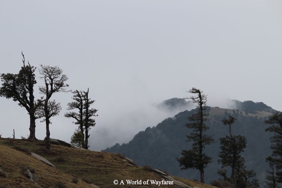 Photo of A Trek to the Himalayas, Churdhar Peak 15/20 by N Madhuri
