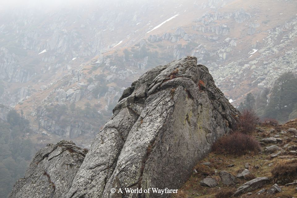 Photo of A Trek to the Himalayas, Churdhar Peak 17/20 by N Madhuri