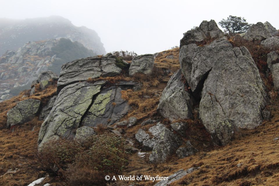 Photo of A Trek to the Himalayas, Churdhar Peak 18/20 by N Madhuri