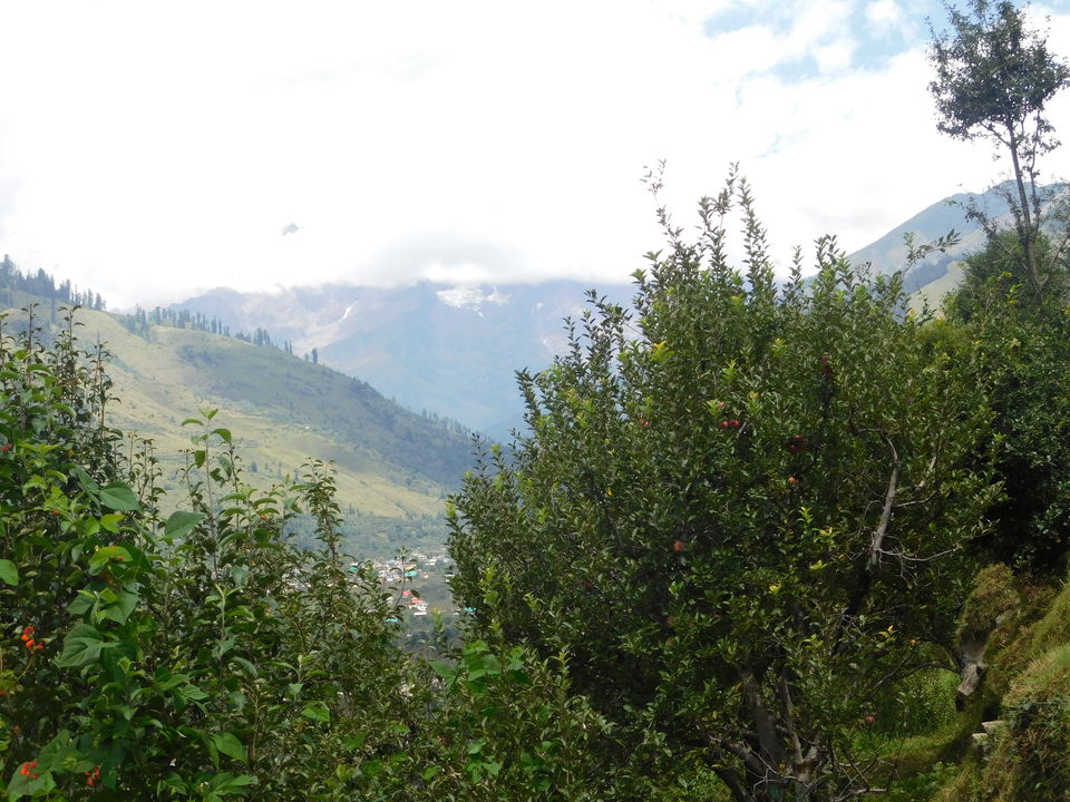 Photo of A Hidden Gem in Manali:- Which Must be in to do list in every traveler to Manali 3/5 by Mohit Mehta