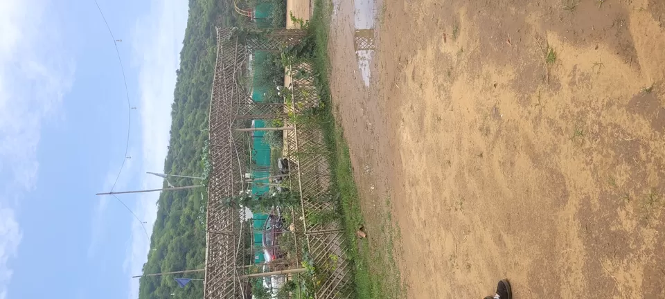 Photo of Rathi cafe pandala By Komal Gupta