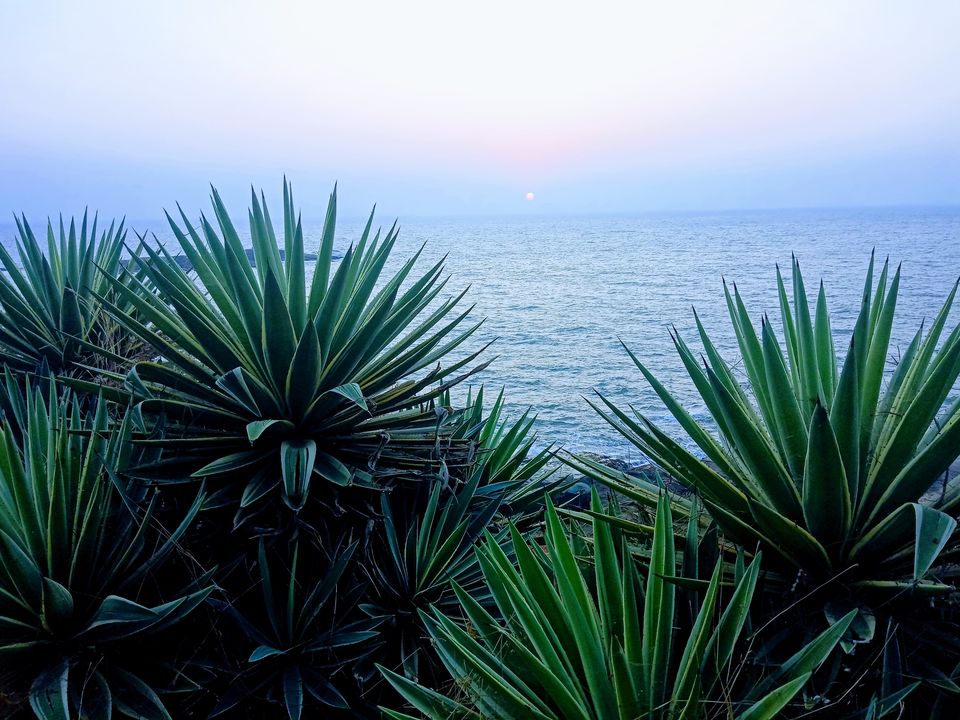Photo of Laid-back, Unspoiled and Rustic nature-Gokarna!! #Solotraveller!! 34/50 by Dixit Mehta